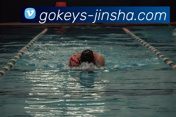 金沙国际品牌故事